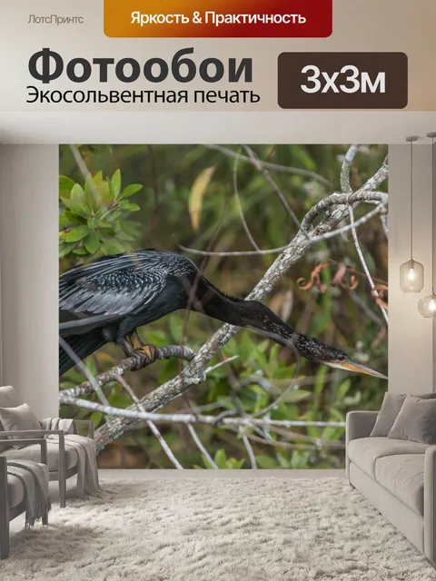 Фотообои озеро птица