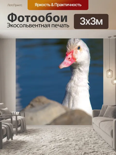 Фотообои Белый