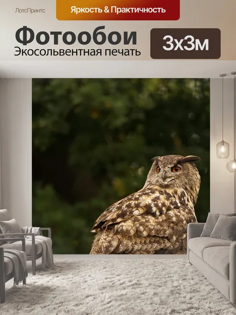 Фотообои Уху