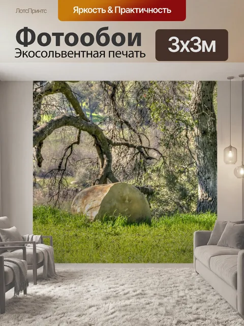Фотообои Деревья и бревно