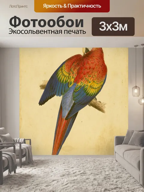 Фотообои Птица Винтаж Ара Клипарт
