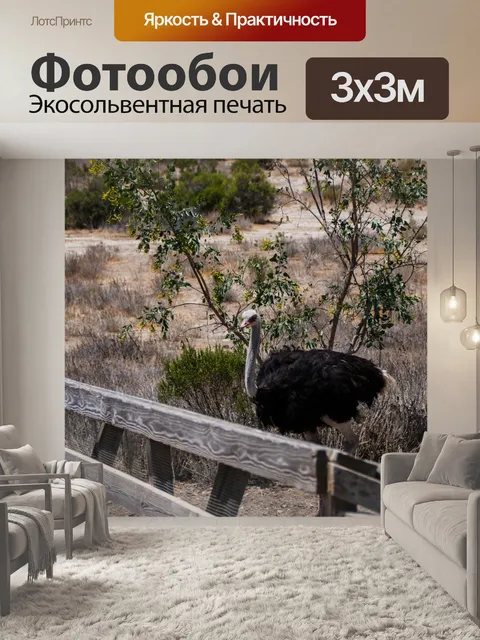 Фотообои страус