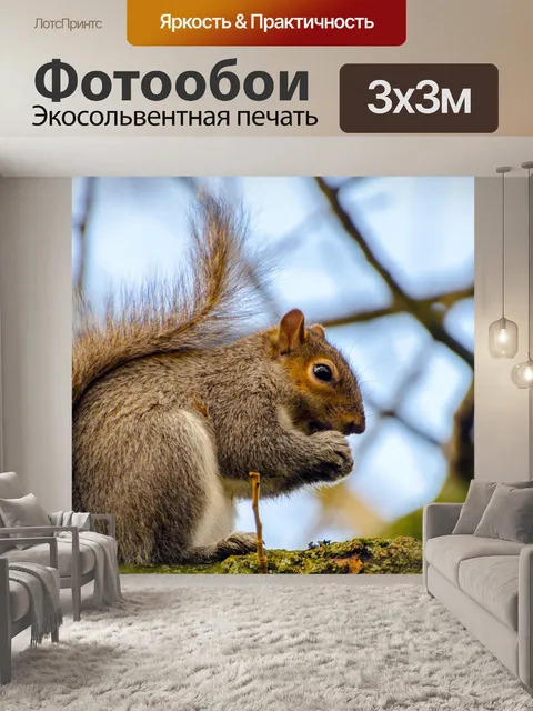 Фотообои белка