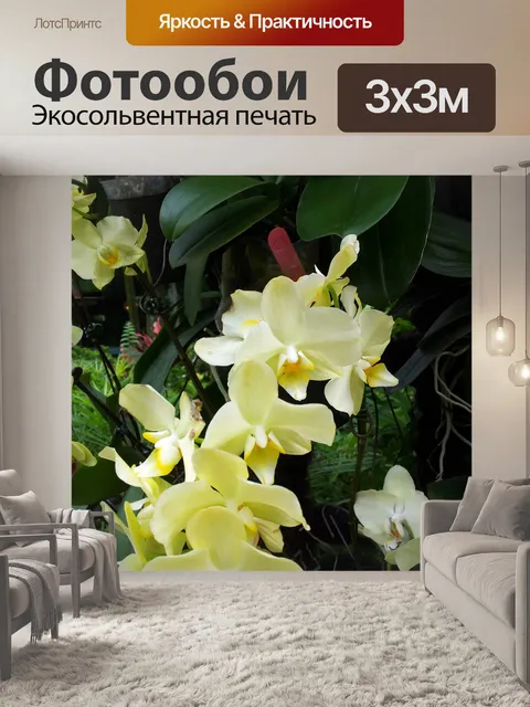 Фотообои желтый цветок орхидеи в цвету