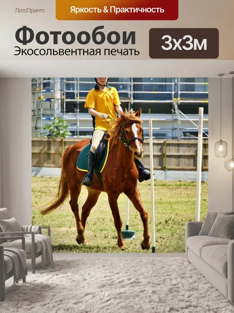 Фотообои Всадник