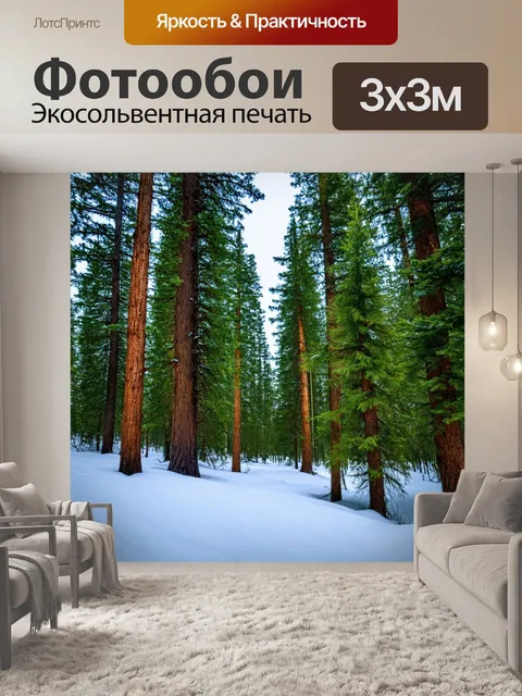 Фотообои карпатский вековые еловые деревья, заснеженные вершины гор