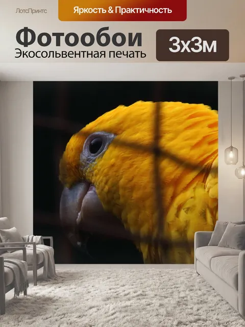 Фотообои птица золотого волшебства в клетке