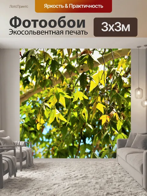 Фотообои полупрозрачные кленовые листья