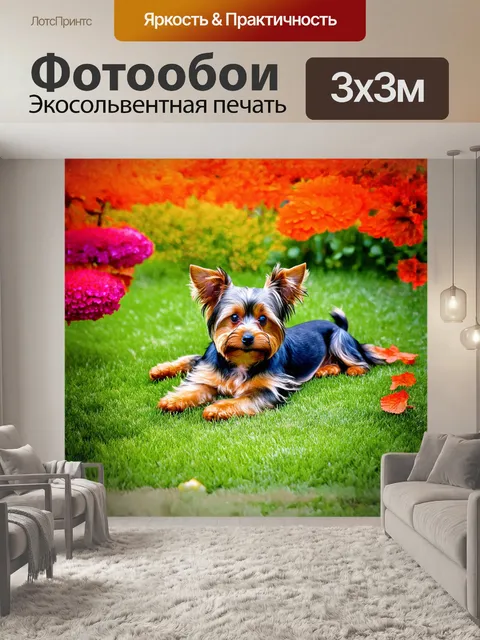Фотообои йоркширский терьер лежит на зеленом газоне