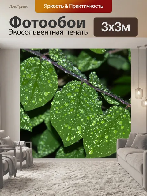 Фотообои Капля воды
