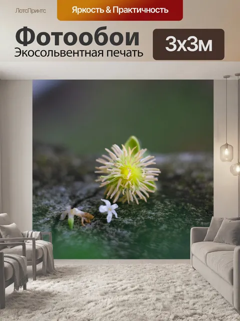 Фотообои Цилиндр алмазный
