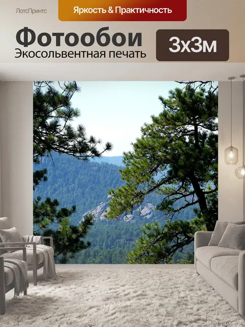 Фотообои Блэк хиллс