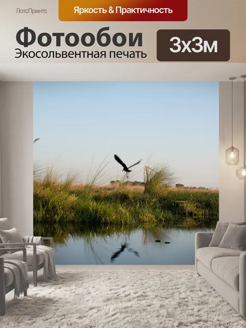 Фотообои Птица
