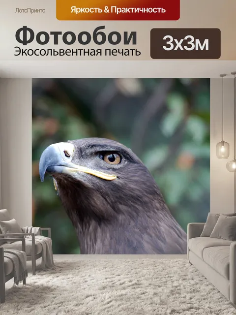 Фотообои Степной орел смотреть
