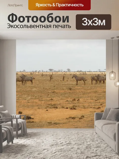 Фотообои Зебра