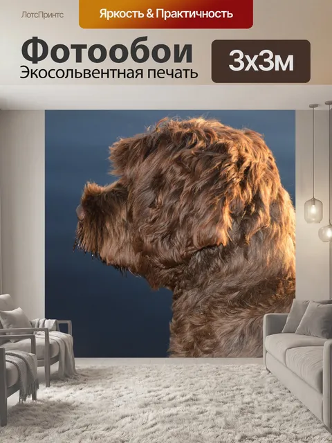 Фотообои Собака