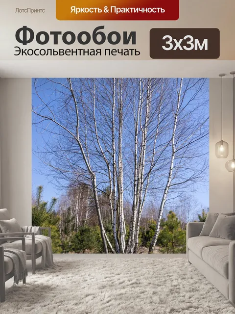 Фотообои Берёза