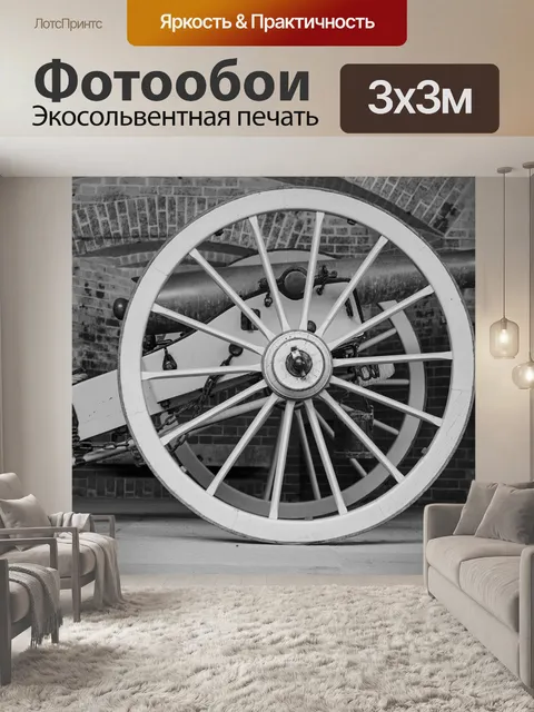 Фотообои Пушка