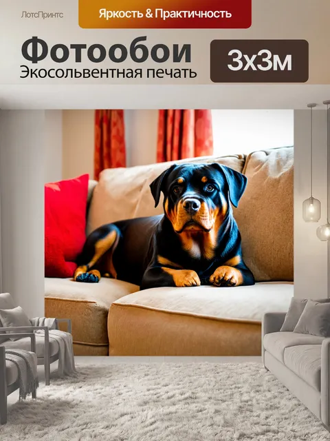 Фотообои ротвейлер в домашней обстановке, уютно устроившийся на диване рядом с хозяином