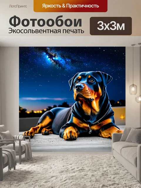 Фотообои ротвейлер, смотрящий на звезды лежа на крыше, с атмосферой спокойствия и мечтательности