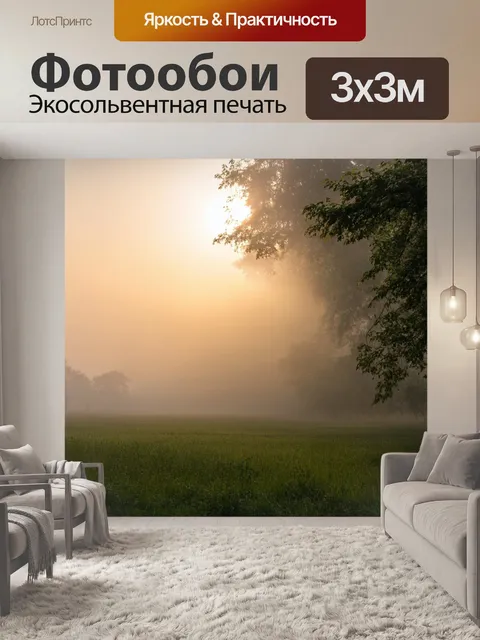 Фотообои туман в стиле минимализм, утреннее солнце пробивается через туман и деревья