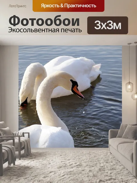 Фотообои Лебеди