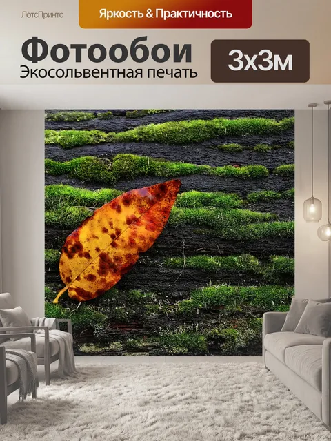 Фотообои Осень листва мох дерево лист