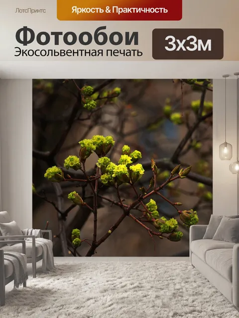Фотообои Весна