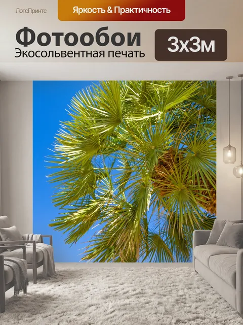 Фотообои Пальмы и голубое небо