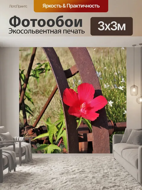 Фотообои Красный Гибискус и Колесо Вагона