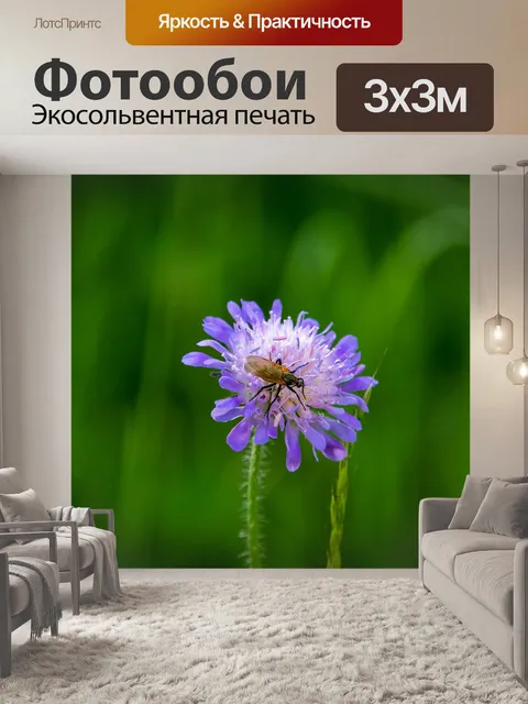 Фотообои Фиолетовый цветок, луговая крона, насеко