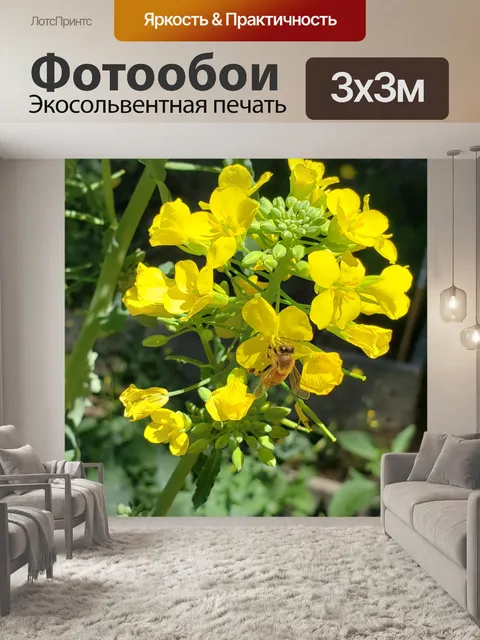 Фотообои Медоносная пчела и желтый цветок