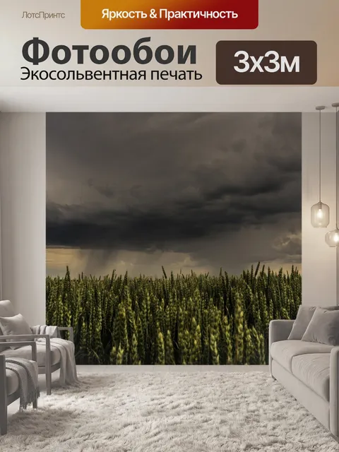 Фотообои Гроза