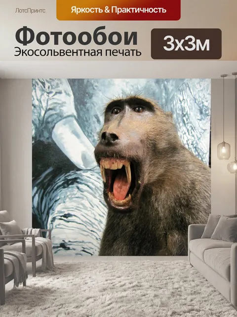 Фотообои бабуин модель