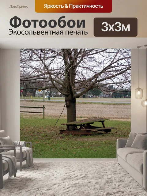 Фотообои Закаленный стол для пикника