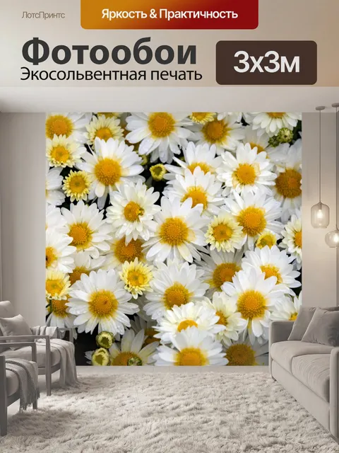Фотообои Желтые и Белые Цветы