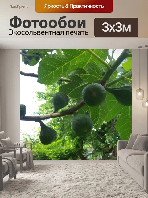 Фотообои зеленый инжир
