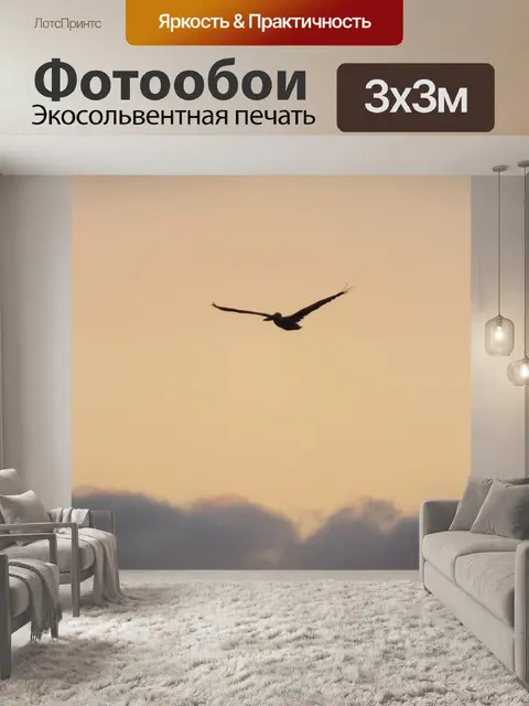 Фотообои Пеликан