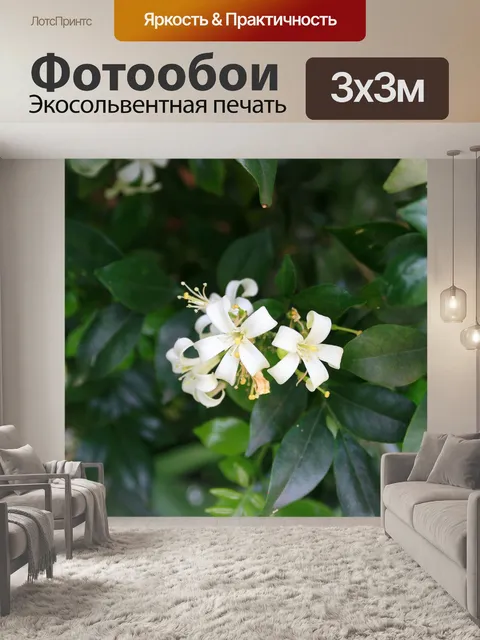 Фотообои экзотика белый цветок