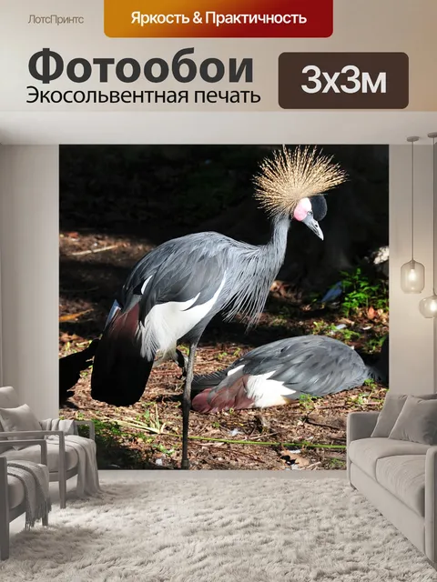 Фотообои Птица