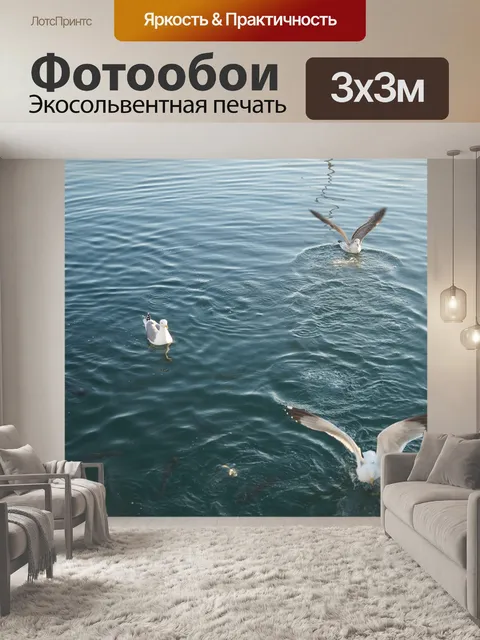 Фотообои Чайки