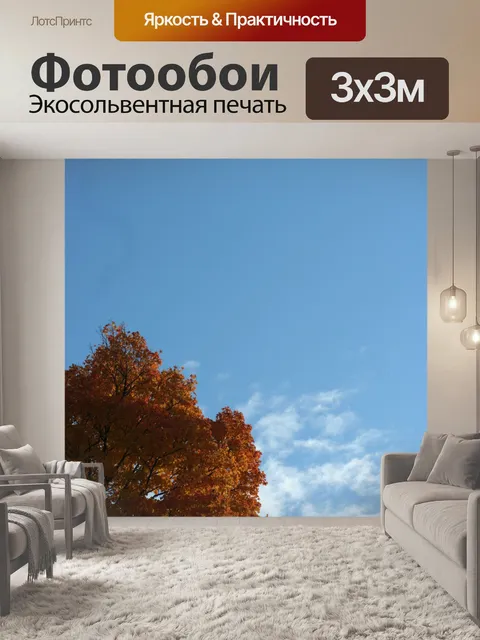 Фотообои половина оранжевый клен
