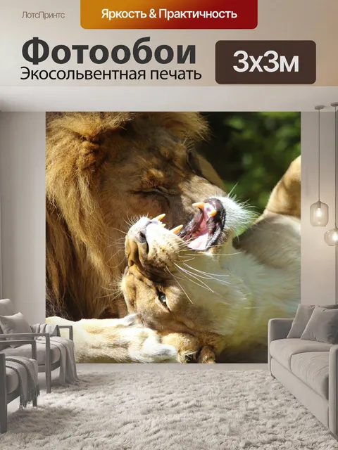 Фотообои Львы играют