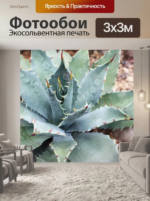 Фотообои Зеленый