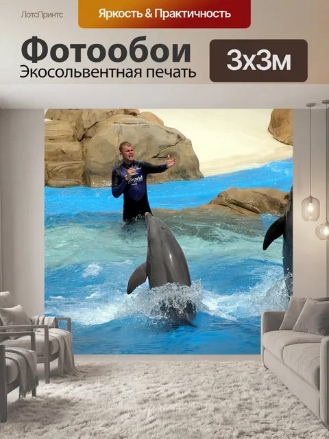 Фотообои Дельфины в аквариум