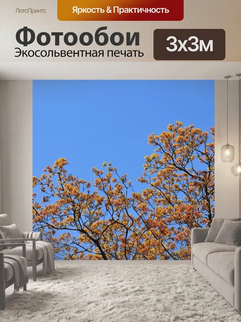 Фотообои Небо