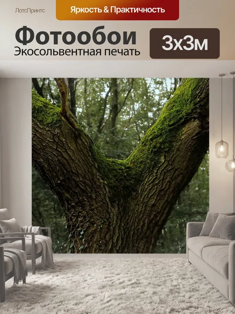 Фотообои Кора дерева ветви мох