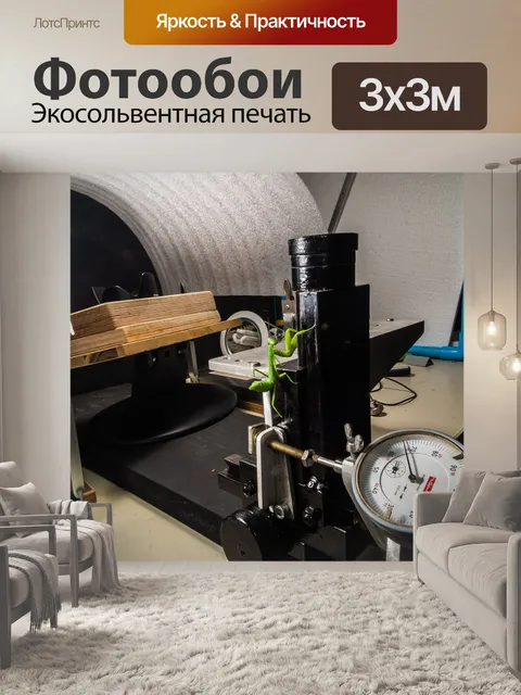 Фотообои Богомол