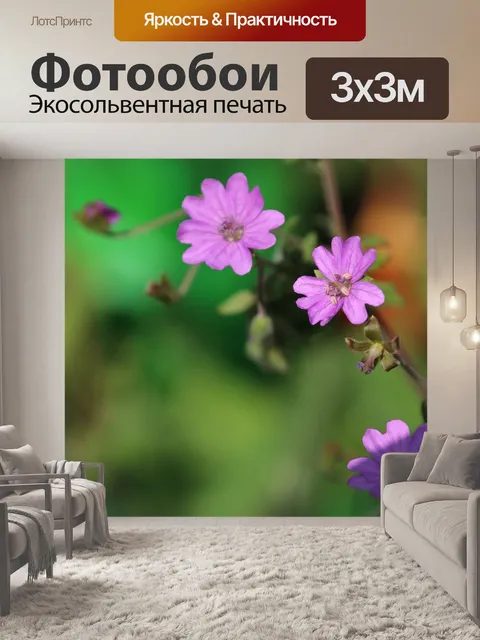 Фотообои Цвести