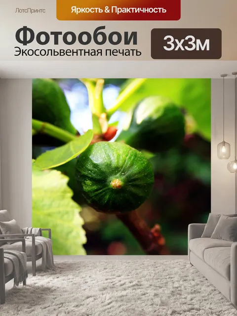 Фотообои зеленый рис 2